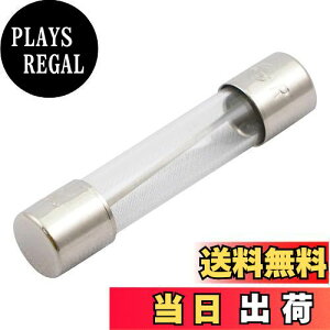 yzGp(ELPA) KXǃq[Y q[Y z ی 250V 10A 30mm 2 TF-2100H