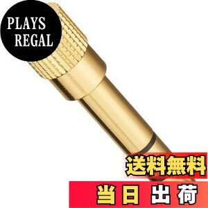 yzGp(ELPA) ϊvO I[fBIP[u ϊ PA-100