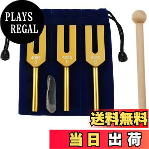 �y���������zDreld �V�g�̉����Z�b�g�i4096Hz�A4160 Hz�A4225 Hz�j �`���[�j���O�t�H�[�N �y�� �Z���s�[ �ؐ��n���}�[�ƃ\�t�g�X�g���[�W�o�b�O�t�� �N���X�^���X�g�[�� �S�[���h