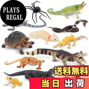 yzTOYMANY 12PCS쐶tBMAZbg ⌌tBMA ঒ ߋf Aȓ͌^ N  JG av[g 蕨 NX}X VN R