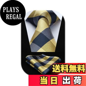 【送料無料】[HISDERN] [ヒスデン] ビジネス ネクタイ チーフ セット メンズ 黄色 結婚式 シルク ブランド プレゼント 就活 入学式 卒業式 TC4029Y8S by