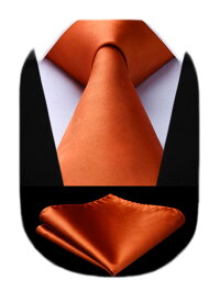 [HISDERN] ネクタイメンズ オレンジ ネクタイ ポケットチーフ セット 無地 ブランド おしゃれ ビジネス 結婚式 卒業式 プレゼント TL201N8S