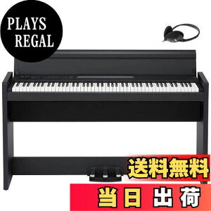 yzKORG RO dqsAm 88 LP380 USB ubN  { ݂ؐ wbhtHƃy_t