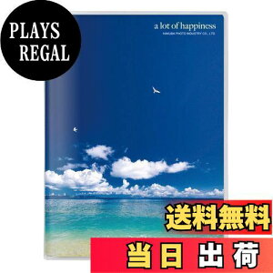 yznNo HAKUBA Ao P|PbgAoNP |XgJ[hTCY 20 Cƒ APNP-PC20-UTT