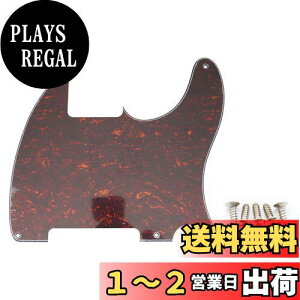 yzMusiclily 5 Esquire GXNC[^sbNK[h Fender American/Mexican Vintage 50s Esquire TeleGLM^[pA4P