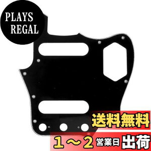 yzMusiclily Pro 10 WK[X^CsbNK[h { Fender Japan JaguarGLM^[pA3P