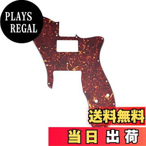 yzMusiclily Pro 16 eLX^[sbNK[h 1n}Egdl Fender American/Mexican 72 Tele CustomGLM^[pA4P