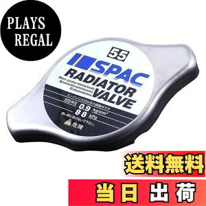 �y���������zPIAA ���W�G�^�[�o���u 88kPa ���M�����[�^�C�v �V���o�[ SV55