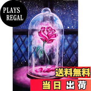 yzAmyaker _ChA[g Lbg lpr[Y S _CAhr[YGLbg DIY G |Lbg UCNA[g 5D UCNA[g _Chh Sʓ\t