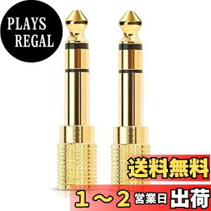 yzSound Wavey XeI~jvOXeIWvOϊvO z 6.35mm(1/4C`) IX]3.5mm(1/8C`) X XeICz I[fBIA_v^[ 24KbL 3.5mm1/4A