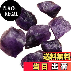 yzYUYAKESHIA}Xg[ NX^ A}ICp NH[c CeA   [XXg[ VR z AWXg ΁i1-2.5CME100Gj