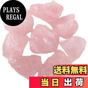 yzYUYAKESHIA}Xg[ NX^ A}ICp NH[c CeA   [XXg[ VR z sNNX^  7~10iME100Gj