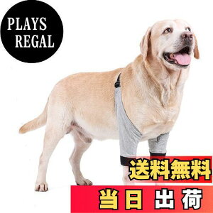 yzBotocoo p nr pi p p nr p֐߃veN^[ GT|[^[ ybgT|[^[\bNX _炩ybgpbOEH[}[ ̉pi ^ ^ 