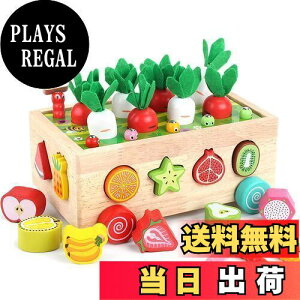 yzHomehalo ؂̂ jW pY eb\[ߋ mߋ lC w惌bX{bNX ͂߂ `킹 ؐ j̎q ̎q _jWEΈ𒎕