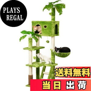 yzMeecal Lbg^[ ^Lp tt L^[  ω׏d10KG Lbg^[^ ܌|[ nbN ]|h~u LbgnEX L }bT[W VRR W]