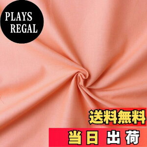 yz{Rtf(Nippon Chuko) GCeBXNGA n n 100% V[eBO EXIW IWn Ж110cm×10mؔJbg KD4630-166-10M