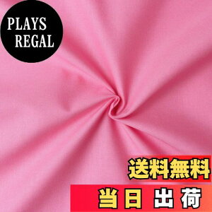 yz{Rtf(Nippon Chuko) GCeBXNGA n n 100% V[eBO TSC sNn Ж110cm×10mؔJbg KD4630-252-10M