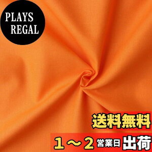 yz{Rtf(Nippon Chuko) GCeBXNGA n n 100% V[eBO IW IWn Ж110cm×10mؔJbg KD4630-219-10M