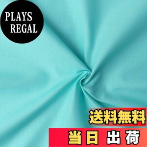 yz{Rtf(Nippon Chuko) GCeBXNGA n n 100% V[eBO ~g O[n Ж110cm×1.5mؔJbg KD4630-315-150CM n nn GCeBXNGA