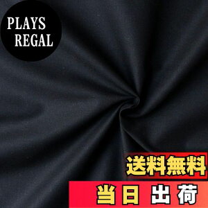 yz{Rtf(Nippon Chuko) GCeBXNGA n n 100% V[eBO N ubNn Ж110cm×10mؔJbg KD4630-104-10M n nn GCeBXNGA