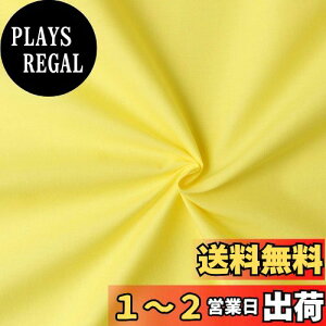yz{Rtf(Nippon Chuko) GCeBXNGA n n 100% V[eBO CG[ Fn Ж110cm×10mؔJbg KD4630-208-10M