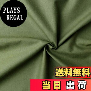 yz{Rtf(Nippon Chuko) GCeBXNGA n n 100% V[eBO CgI[u O[n Ж110cm×1mؔJbg KD4630-139-1M n nn GCeBXNGA