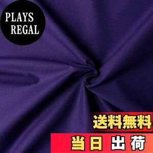 yz{Rtf(Nippon Chuko) GCeBXNGA n n 100% V[eBO TL p[vn Ж110cm×10mؔJbg KD4630-256-10M