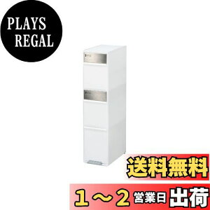 yzCNCbg (like-it) y_ S~ i ʃXCOXe[VCh 55L(20Lx2iE15Lx1i) XeXpl zCg 25.5cm { BWP-12BS Đ30%gp