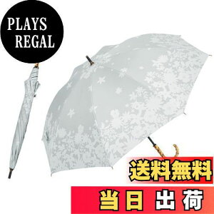 yzhiino kano P fB[X P uvJbg Ռ P PpJP fB[X y 250g ou[nh ̓̃v[g hV̓ Mtg av[g  J