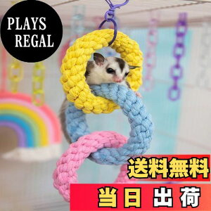 yzMoeagel K  [v nMO oP V  IE ݂艺   [v ϗp   tN