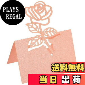 yzPATIKIL e[uꏊJ[h 25 Dӑ [YJbgfUC uNJ[h I̐ȎDp sN