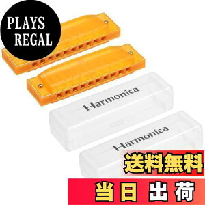 yzPATIKIL NA   n[jJ 10z[ CG[ ABS n[v PVC{bNXt y평S l  2