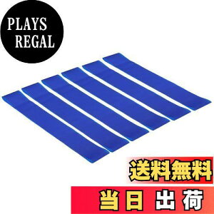 yzPATIKIL p 0.5mm ֎qoh 6 S Lk oEhtBWFbgtbgohXgbv ֎q ȂfXNɎgp\ u[F