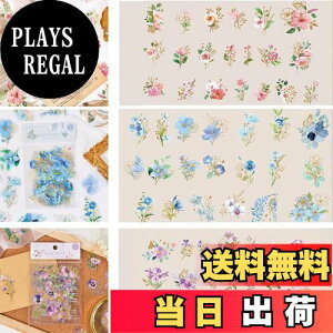 yzLANJING XebJ[ V[ 蒠V[ XebJ[ XebJ[Zbg Ԏ蒠V[ PETf CXg Vv A[g DIY X}zP[Xp(fUCF}`bNh[