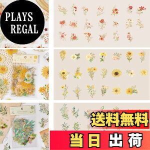 yzLANJING XebJ[ V[ 蒠V[ XebJ[ XebJ[Zbg Ԏ蒠V[ PETf CXg Vv A[g DIY X}zP[Xp(fUCFԌ炩,90