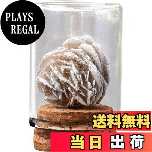 yzHIGHAWK ΕW{ VR KXJo[ z ho u I[ig W W{{bNX e[u RNV nȊw i ioSj