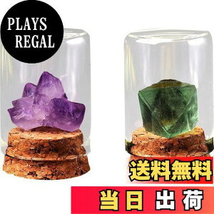 yzHIGHAWK ΕW{ VR KXJo[ z ho u I[ig W W{{bNX e[u RNV nȊw i  2iAWXgSEuΔʑSj