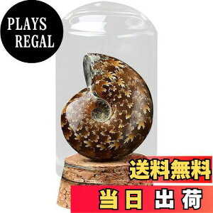 yzHIGHAWKΕW{ VR KXJo[ z ho u I[ig KXr W W{{bNX e[u RNV nȊw i iL̉Sj