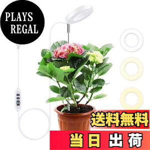 yzMcbazel ALED琬CgEϗtApCg ^C}[@\ti3H / 9H / 12Hj 61.5cm߉\ USBd  ȃGl ϗtA |pi p-zCg