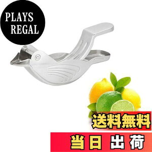 yzZayookey ^i 蓮i XeX|̎莝^W[T[ 304XeX| XeX|̌F 1 hKnhvX ƒp Lb`Kic[ (