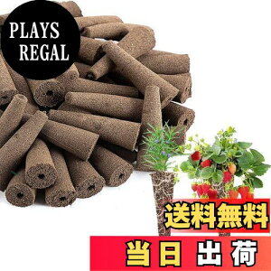 yzItisyou k͔| X|W ͔| X|W k͔|X|W ۈubN y͔| K[fpi 50