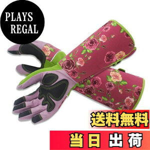 yz[TARATI] K[fjO K[fO[u vtFbVi T{e [Y o̎  KÑgQ [YO[u ϖ O Ǝ |p 