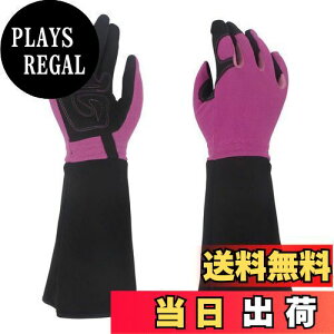 yz[TARATI] K[fjO K[fO[u vtFbVi T{e [Y o̎  KÑgQ [YO[u ϖ O Ǝ |p 