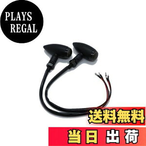 yzBeatus eی^ ~j ECJ[ lWa10mm oCN ėp JX^ p[c 12V 2Zbg LEDł͂܂ (ubN×X[N 2)