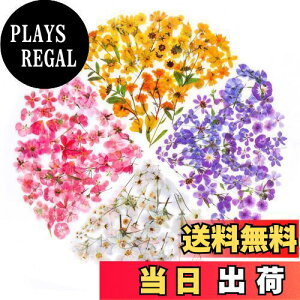 yzYOVOY 164 R[W f V[ ԃV[Zbg t[NV[ XebJ[ e    A 蒠fރXebJ[ KXrƉ