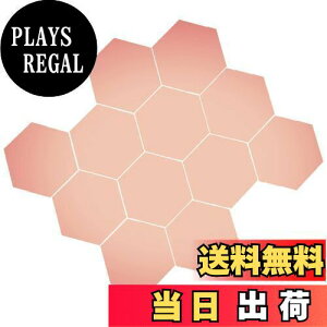 yzBIRLD EH[ ~[ XebJ[  \t  WALL MIRROR STICKER Ȃ Zp`  12 [ [YS[h ] STCY