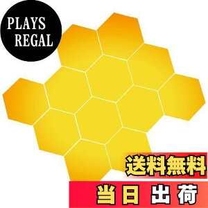 yzBIRLD EH[ ~[ XebJ[  \t  WALL MIRROR STICKER Ȃ Zp`  12 [ S[h ] LTCY