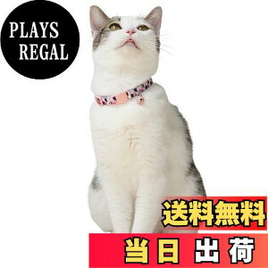 yzAKAGIICHI L  L Z[teBobN L̎ t qL   킢 S \ 1cm 18-29cm 7.1g |GXe (sN&)