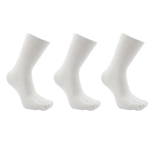 yz[Yesallwas]  \bNX 3g C 2{w  n Ȃ V[g\bNX (Ԃ) Y fB[X t[TCY O΍   El T_ (3g)