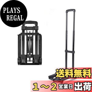 yzGOODCHI L[J[g ܂肽ݎ  ^ y RpNg ω׏d50kg Œ胍[vt  ƒp L[S ~j (ubN)